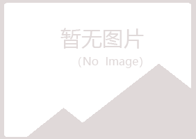 鹤岗东山倾城水泥有限公司